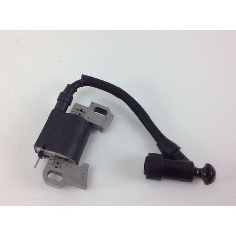 Bobina accensione DAYEE per motozappe motore 200 CC RASAERBA DY 21SQ 027760 (1/4)