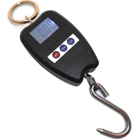 Bilancia Dinamometro Digitale 200 Kg Elettronica Pesa Bagagli (1/2)