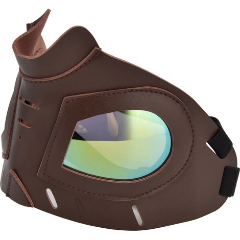 Masque facial pour chien, lunettes de soleil anti-éblouissement pour la neige, accessoires pour chiens, lunettes de soleil. (1/5)