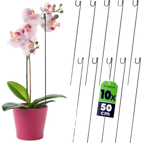 Support de Plante, Hauteur 50 cm, Plastique Durable, Esthétique Minimaliste, Offre de la Stabilité, Pour Plantes en Pot d'Intérieur (1/5)