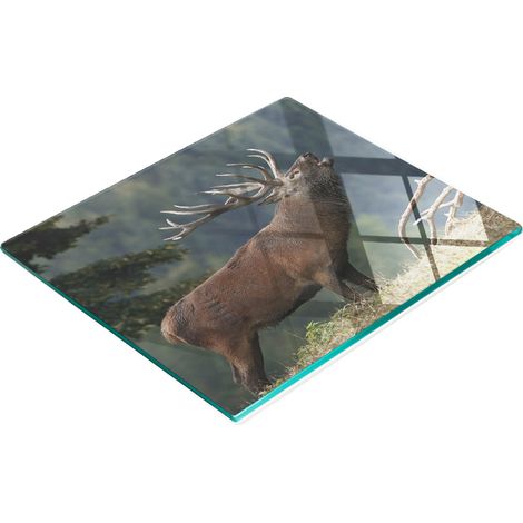 Planche de service en verre pour la cuisine, motif cerf sur une colline, 60 x 52 cm (1/5)