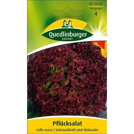 Quedlinburger Pflücksalat Lollo rossa - Gemüsesamen (1/2)