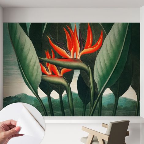 Papier peint adhésif décoratif pour chambre et salon Design moderne à poser facilement Fleurs exotiques 152x104 cm (1/5)