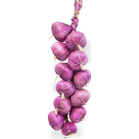 Tresse d'ail artificielle x10 têtes d'ail violet L 50 cm (1/2)