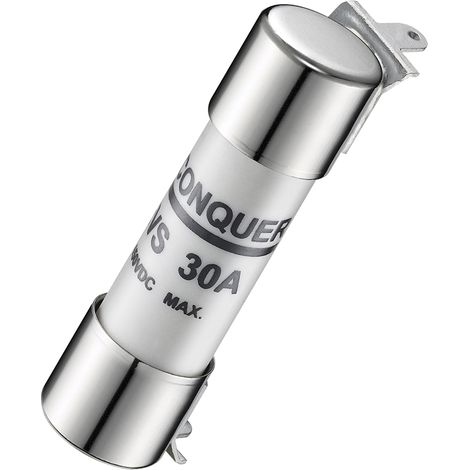 Cartouche fusible RS PRO, 30A, 10 x 38mm, 450V ( Prix pour 1 )