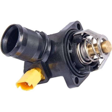 Thermostat d'eau 1336.Z2 5352203 9650926280 (1/5)