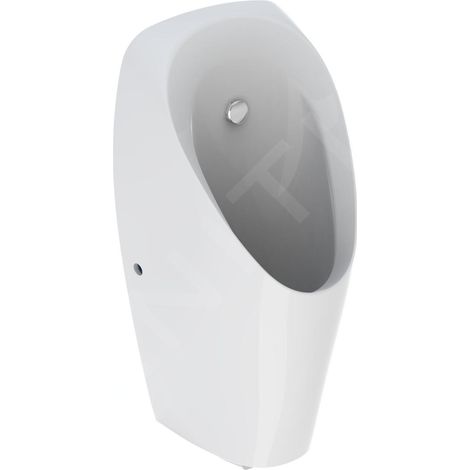 Geberit 116144001 Urinoir Tamina, avec commande générale intégrée (1/3)
