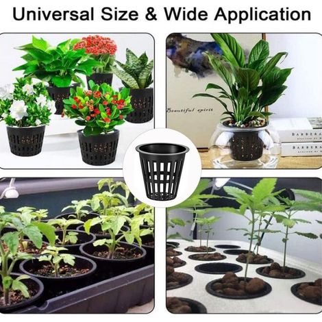 50 Pièces Pot Hydroponique Panier Hydroponie 8cm Paniers de Plantation Bassin en Plastique de Tasse de Maille Noir pour Jardin Hydroponique Plantation (1/5)