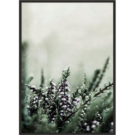 Bild Poster im Rahmen 53x73 cm Wiese P1773 (1/4)