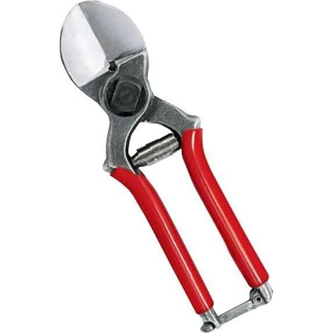 AUSONIA - SHARP DOUBLE BLADE SCISSORS FOR ORCHERS WITH HOT FORGED AND TEMPERED STEEL BLADES, PLASTIC COATED HANDLES AND 20 CM CROSS SECURITY CLOSURE (1/5)