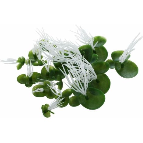 Lunettes de natation en plastique vert pour aquariums (1/5)