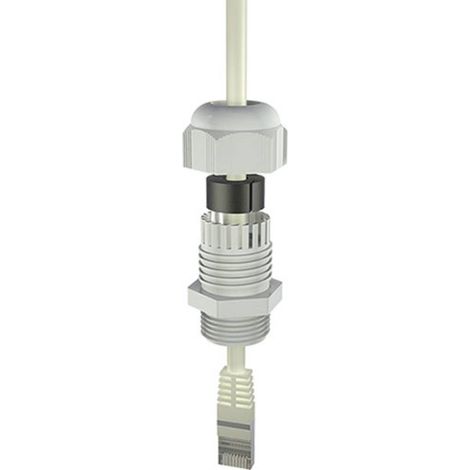 Bopla 12002404 Presse-étoupe M25 Polyamide gris clair (RAL 7035) 1 pc(s)