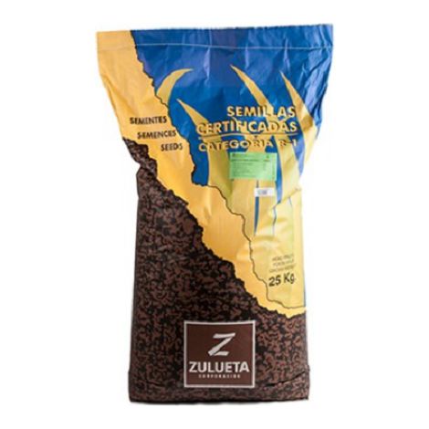 Zulueta Semilla césped resistente Compact 25 Kg