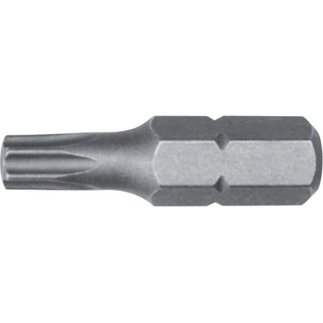 Suggerimento 1/4 "Din3126 C6,3 T25X25Mm A10 Pièces.Fortis