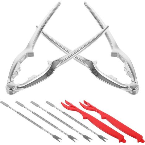 Kit de 8 pinces et pics à crabes en acier inoxydable (1/5)