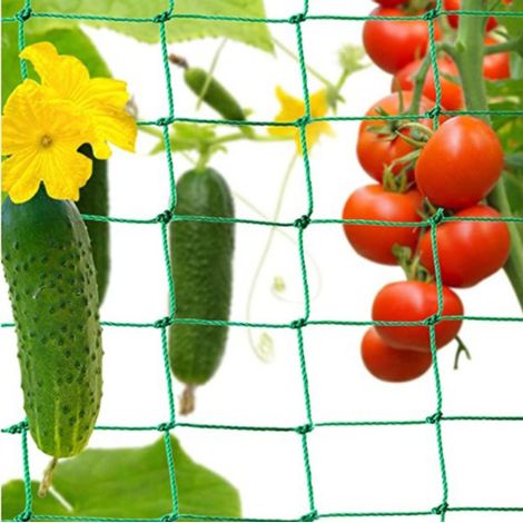 Ranknetz des plantes Grimpantes et des Parcs du Réseau de Concombres, de Tomates et d'Autres Vogelschutznetz Légumes Arceaux Réseau pour plantes Grimpantes (1/5)