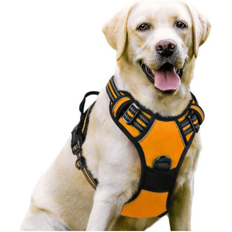 Orange, Harnais Chien, Harnais Anti Taraction pour Chien Réfléchissant Réglable, Facile à Mettre, avec Poignée Contrôle, Arnet pour Chien Respirant, Durable, Harnais pour Chien Moyen et G (1/5)