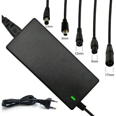 Chargeur Trotinette Electrique, 42V 2A avec 5 Connecteurs pour Scooter Électrique (1/4)