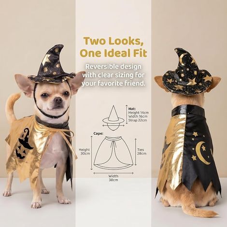 Déguisement pour Chiens et Chats avec Chapeau et Cape Noire et dorée à Motifs de Lune, d'étoile et de Citrouille. (1/4)