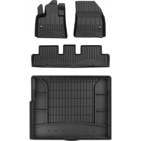 SET 3D Tappetini e tappetini Citroen C4 Picasso 2 2013-2019 (1/5)