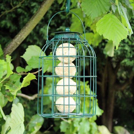 Natures Market BF008FB Wild Bird Fatball / Fat Ball Feeder with Squirrel Guard (1/3)