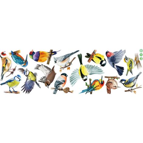 1 Autocollant fenêtre oiseau, Film anti-collision verre, Décoration réutilisable PVC, Protection vitres intérieur(Troisième trimestre : août) (1/5)