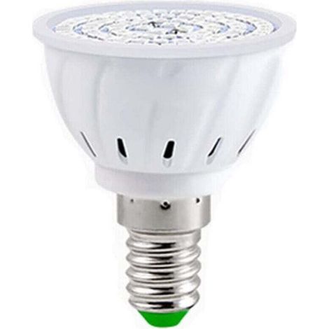 Ampoule LED E14 220V 80W pour Plantes d'Intérieur Serre Hydroponique et Fleurs (1/4)