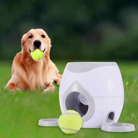 Distributeur automatique de croquettes pour animaux, jouet interactif pour lancer de balles de tennis et dressage de chiens (1/5)