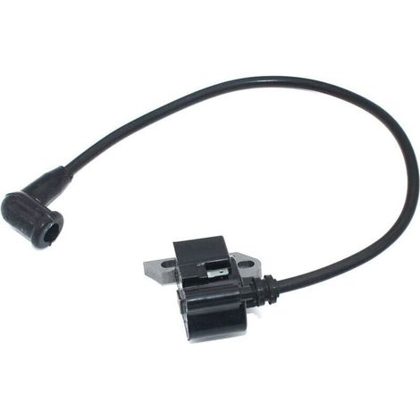 Module d'allumage pour Stihl Souffleur à dos BR320 BR340 BR320L BR340L BR380 BR420 BR420C Atomiseur SR320 SR340 SR400 SR420 souffleuse 4203 400 1301 4203 400 1302 (1/4)