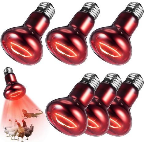 Lot de 6 ampoules chauffantes infrarouges rouges de 75 W pour reptiles (1/5)
