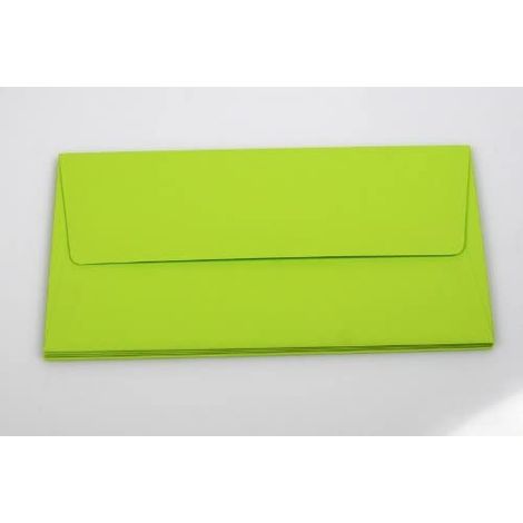 Busta di carta americana 5 pezzi verde lime (1/4)