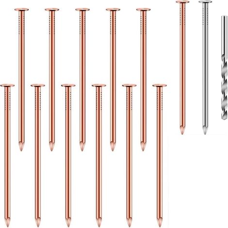 14 Piece Copper Nail Kit for Killing Trees, 3.5 Large Quantities Copper Nails, Tree Stump Removal Spikes, Hardware Nails for Trees (1/5)