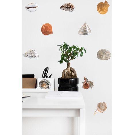 Sticker mural autocollant 21 cm X 29,7 cm, déco avec photos de coquillages, décoration murale belle et originale. (1/3)