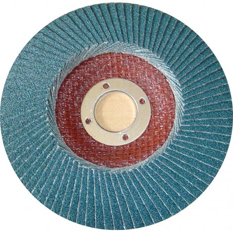 Disque à lamelles Grains fins 80 Diam 125mm SEA