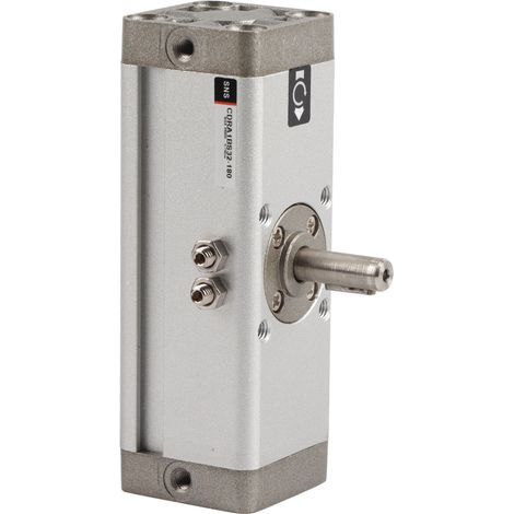 Actionneur rotatif pneumatique en alliage d'aluminium, Double étanchéité, Type support puissant, cylindre d'air pivotant CDRA1BS32-180 (1/5)