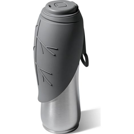 Gourde pour Chiens,750 ML Bouteille d'eau Isolée en Acier Inoxydable pour Chiens, Bouteille d'eau Portable, Double Paroi Isolée sous Vide (1/5)