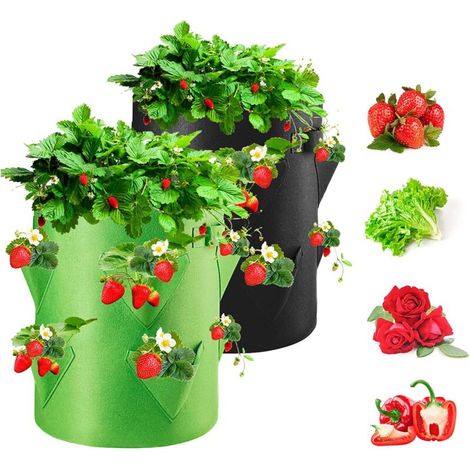 Sacs de Culture pour Fraise, 2PCS 40L/10 Gallons Sac de Legumes, Tissu Non-tissé Sac de Plantation avec Fenêtre, Sac de Legumes de Jardin (1/4)