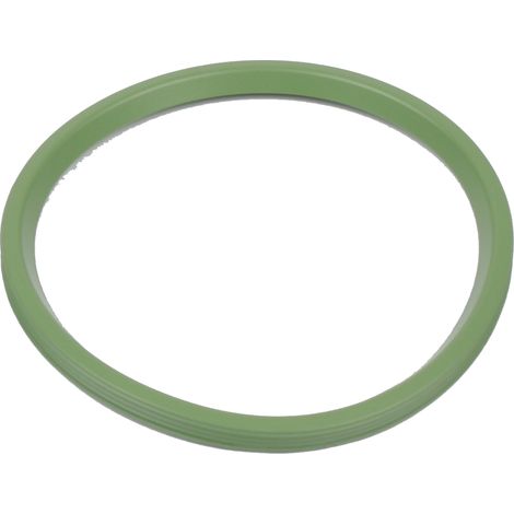 BLÜCHER EuroPipe Dichtung FPM DN 150