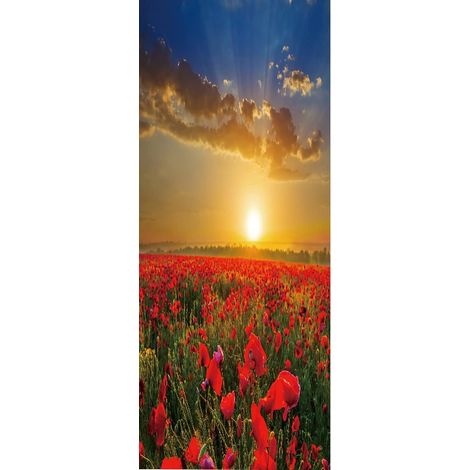 Selbstklebende Tür- und Möbelfolie – PVC – mit Kleberückseite – repositionierbar – für die Inneneinrichtung – Ideal für Wohnzimmer, Büro oder Schlafzimmer – 200 x 77 cm (1/5)