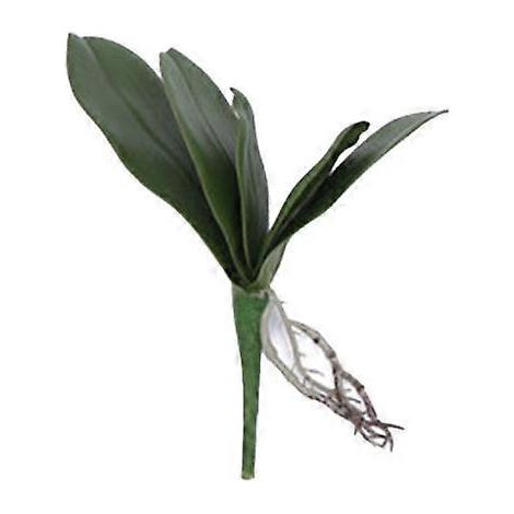 1 plante artificielle à faire soi-même, papillon, orchidée, feuille, décoration de bureau ou de table, bonsaï (1/5)