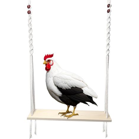 Balançoire de Poulet pour poulailler, Jouets pour Poules et coqs, Accessoires de poulailler en Bois Naturel Faits à la Main, Cadeau pour Les propriétaires de Poulet (1/5)