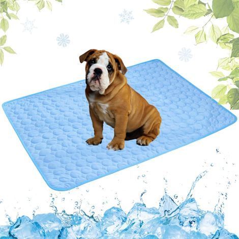 Tapis rafraîchissant pour animaux de compagnie. tapis rafraîchissant portable pour l'été (bleu. 50 x 60 cm) (1/5)