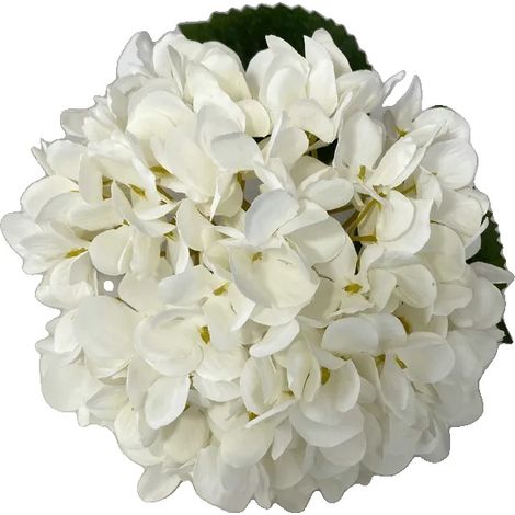 Bouquet di ortensie, design elegante, versatile per eventi, BIANCO (1/2)