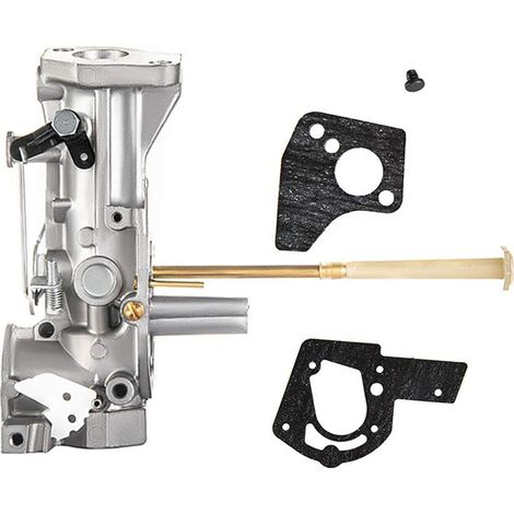 Compatible with Briggs & Stratton carburetors 498298, 495426, 692784 and 495951--DTEKGAZ (1/3)