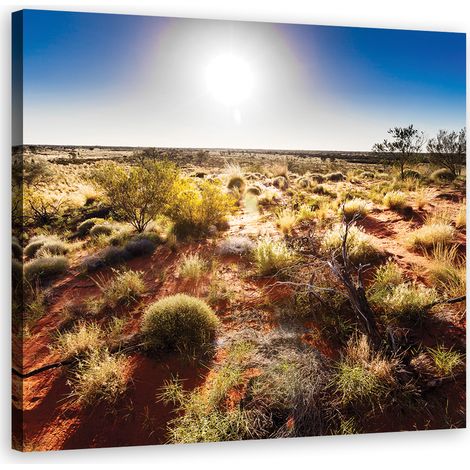 Tableau sur toile Déserts Savane Nature 50x50 (1/5)