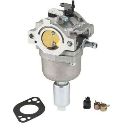 Carburateur Carburateur 14hp 15hp 16hp 17hp 18hp pour Briggs et Stratton Carburateur 799727 698620 Carburateur (1/4)
