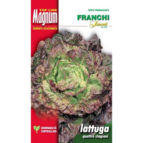 BUSTA MAGNUM SEMI DI LATTUGA QUATTRO STAGIONI FRANCHI SEMENTI