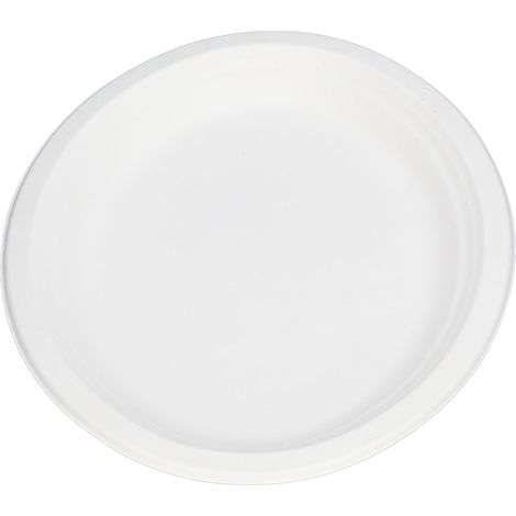 100 Stück ovale, kompostierbare Einwegteller (31,75 cm Durchmesser) für kalte und warme Speisen (1/5)