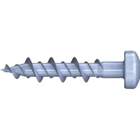 REISSER Montageschraube 6,3 x 30 TX20 Pan Head (1/4)