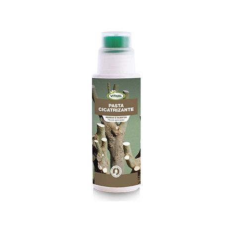 Pasta cicatrice da giardino vithal per potatura e innesti con pennello da 250 ml